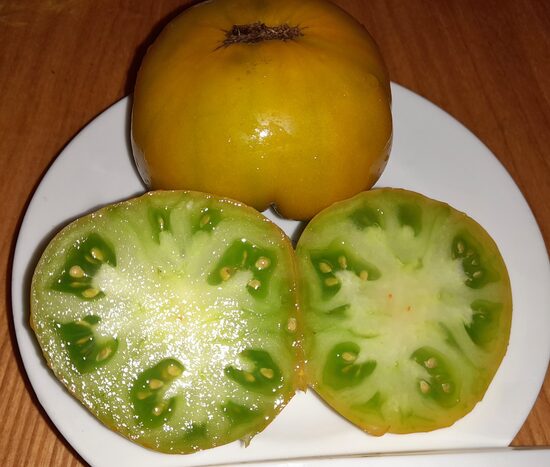 Гном Большой Зеленый